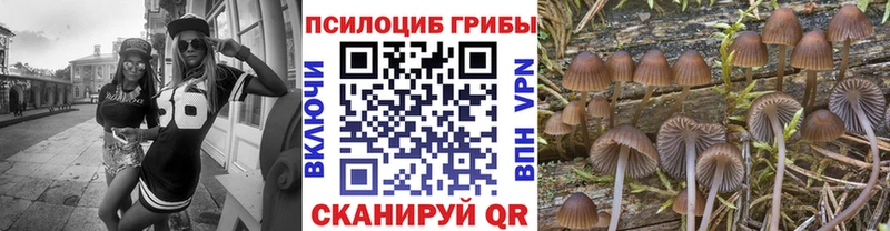 Псилоцибиновые грибы ЛСД  Лыткарино 